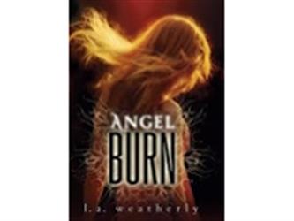 Book Cover for Angel Burn