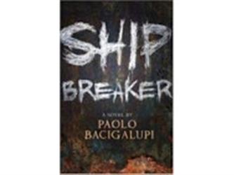 Book Cover for Ship Breaker