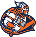 Virtual Library Learning Commons logo